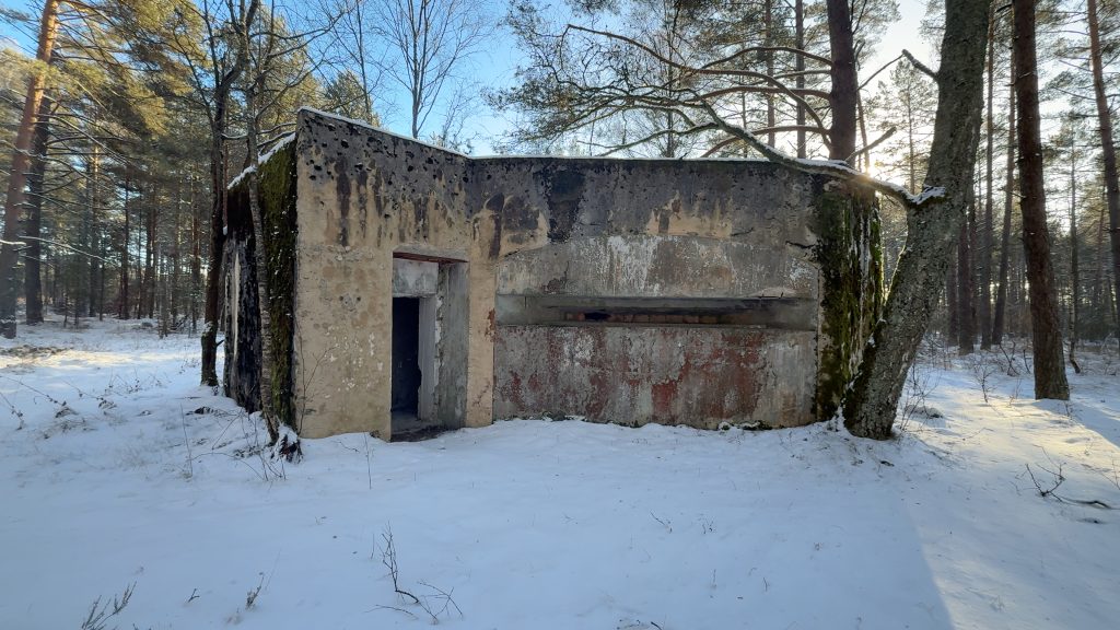 Płytnica